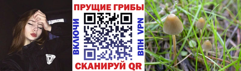 omg ONION  мориарти наркотические препараты  Галлюциногенные грибы ЛСД  Лебедянь 
